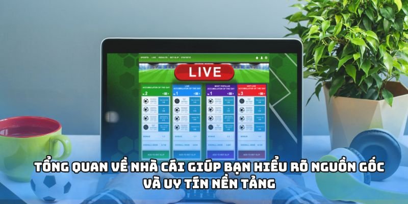 Xsmb Dự Đoán Xổ Số Miền Bắc Hôm Nay Hàng Đầu Tiêu Chí Đánh Giá & Kinh Nghiệm Cá Nhân