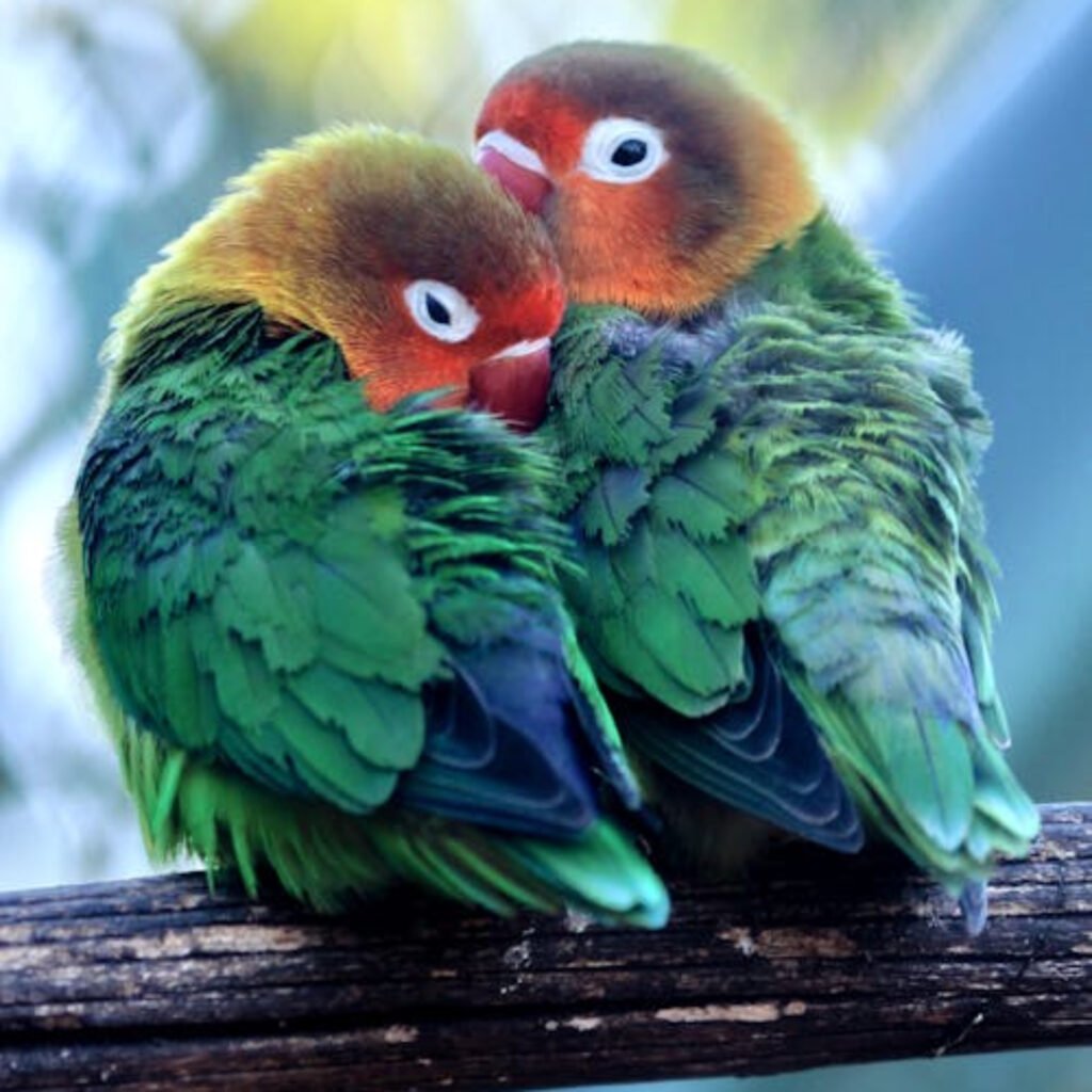 Khám Phá Đăng Tin Bất Động Sản – Trải Nghiệm Cá Cược Trực Tuyến Hàng Đầu Mang Lại Đẳng Cấp Mới