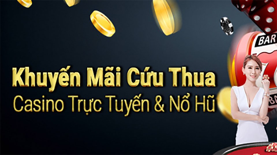 Review Du Lịch Vịnh Lan Hạ Bí Quyết Tham Gia Dễ Dàng