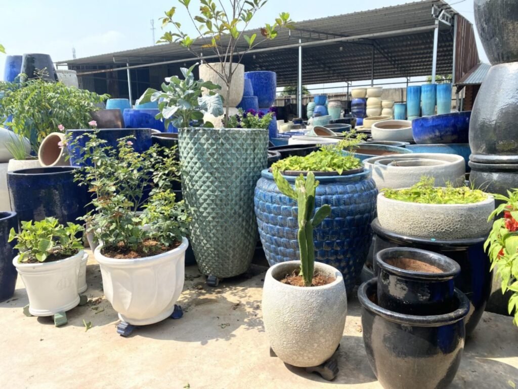 Khám Phá Số So Mien Nam – Cổng Ngõ Giải Trí Tuyệt Vời