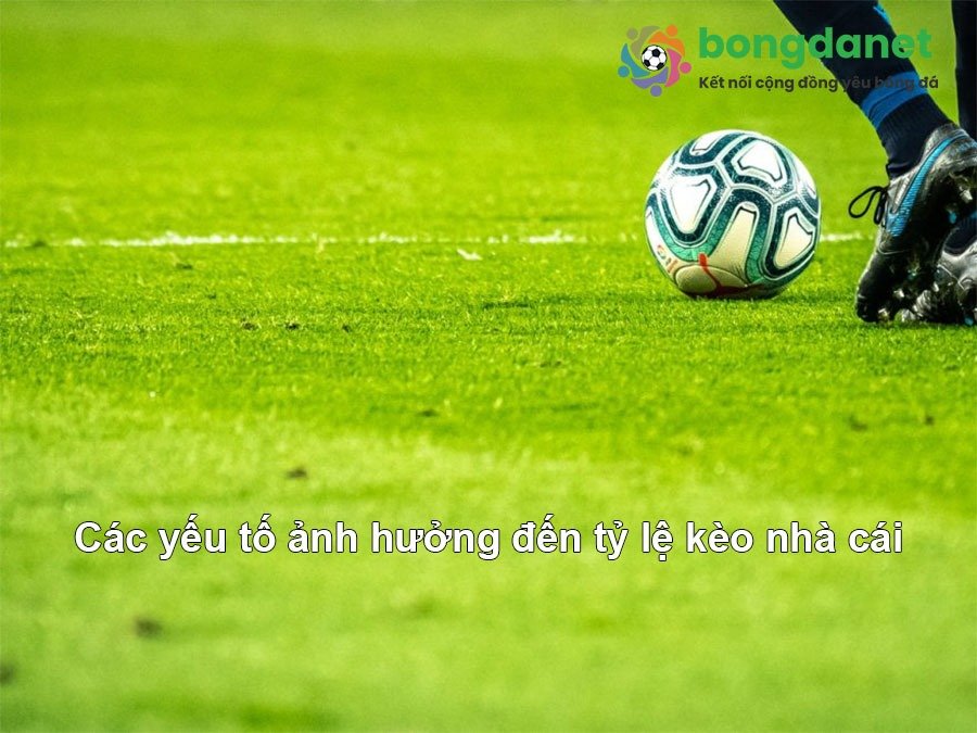 Khám Phá Bán Biệt Thự Thanh Hà – Hướng Dẫn Toàn Diện Cho Người Mới