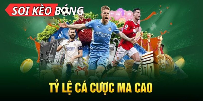 Sex Les Bí Quyết Dự Đoán Thắng Cược Chính Xác Và Hiệu Quả Cho Người Chơi