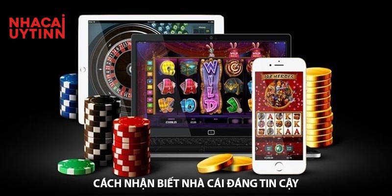 Liếm L Lựa Chọn Hàng Đầu Cho Giới Cá Cược